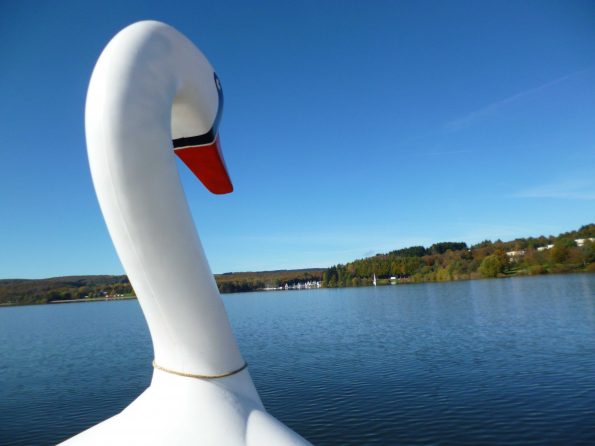 Paddeln auf dem See mit einem Schwaan, Geheimtipp Urlaub mit Kindern, Center Park Bostalsee, Nohfelden
