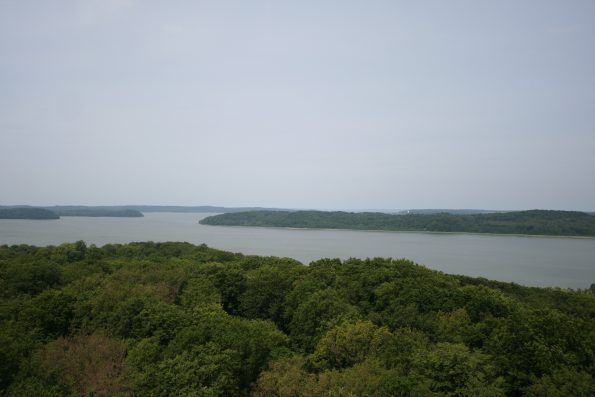 Ausblick auf den Wald, Reiseblog Familienurlaub, Mutter-Kind-Kur, Seeblick, Wald, Ruhe