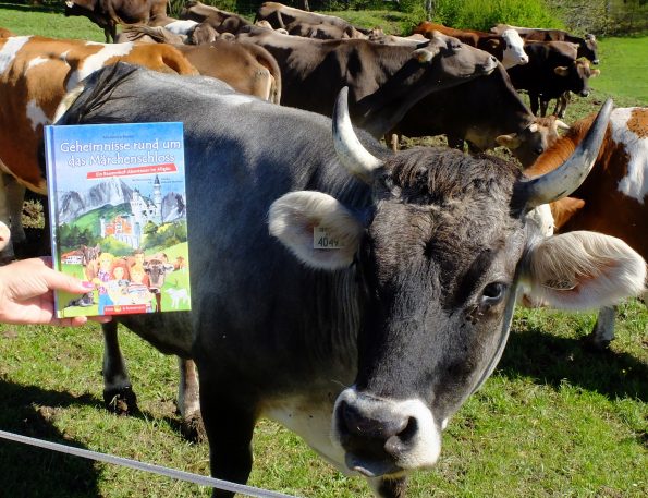 Autorin auf der Kuhweide, Autorin Alexandra Benke, Kinderbuch, Kinderbuchverlag, Reiseführer für Kinder, Geheimnisse rund um das Märchenschloss - Ein Bauernhof-Abenteuer im Allgäu