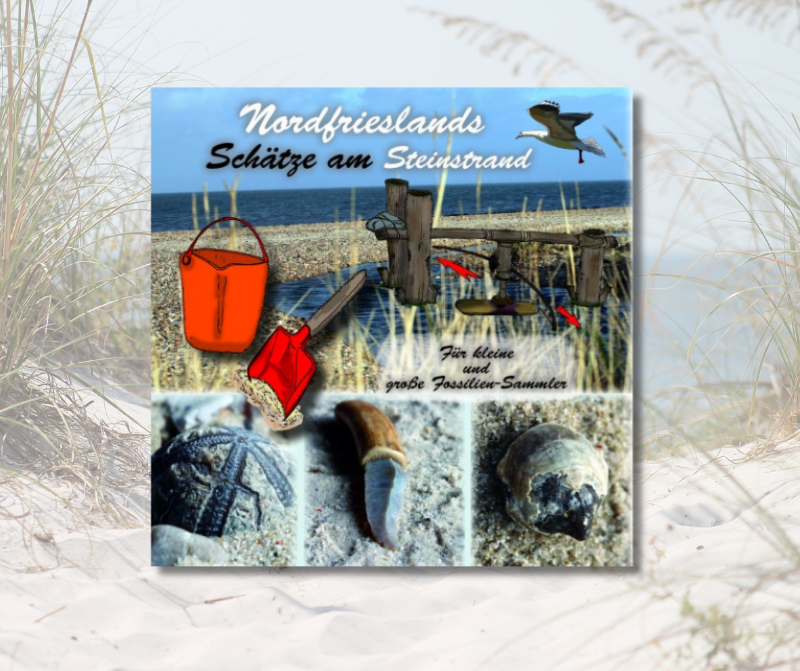 Buch Nordfrieslands Schätze am Steinstrand