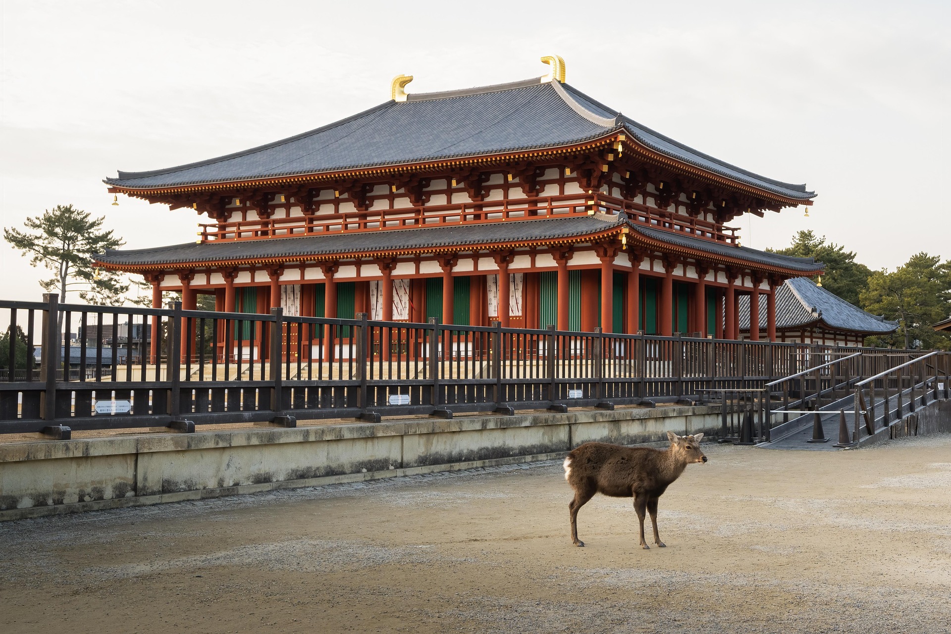 nara kohfukuji temple hirsch