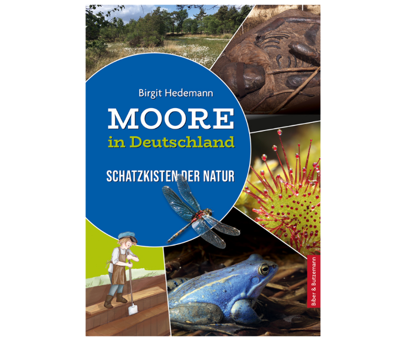 Moore in Deutschland